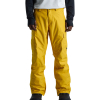 BURTON - CARGO 2L PANTS