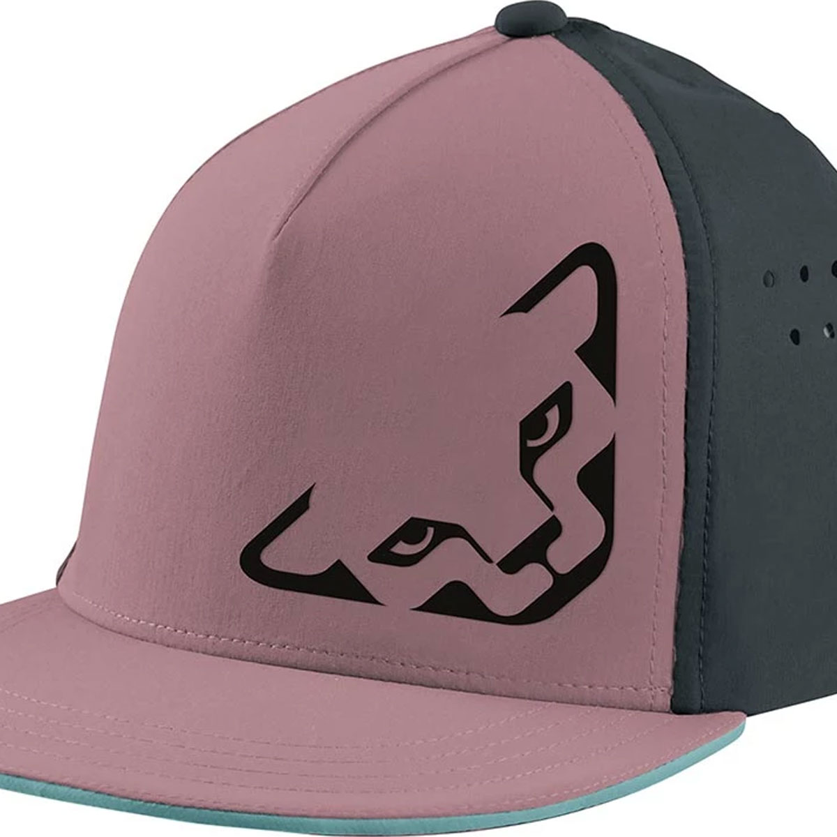 DYNAFIT - TECH TRUCKER CAP