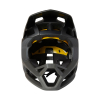 FOX - PROFRAME MATTE HELMET