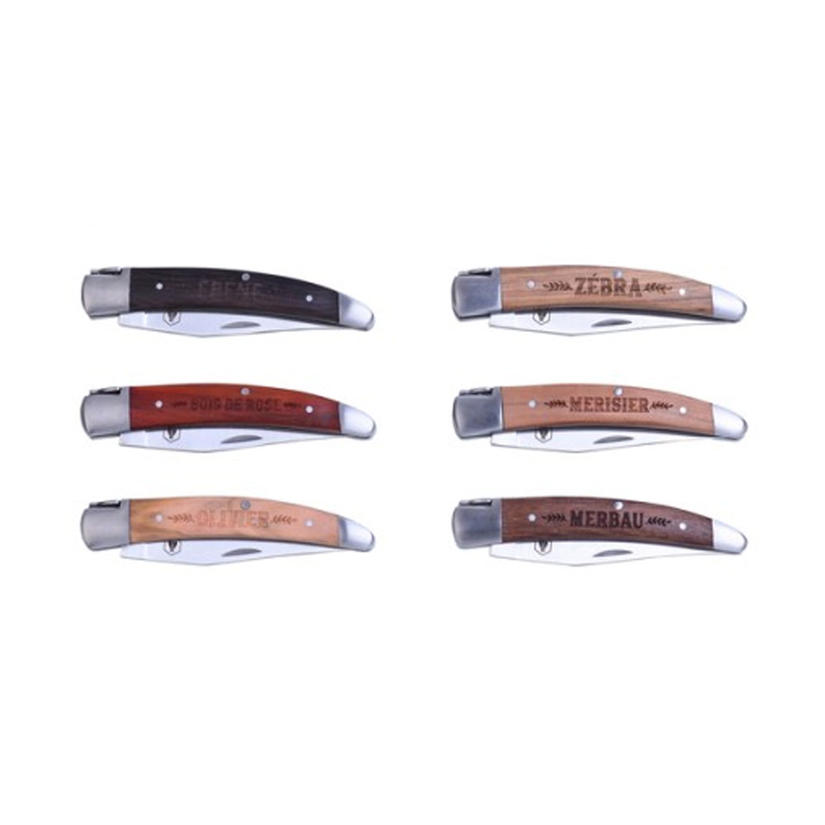 LAGUIOLE - SET OF 6 LAGUIOLE KNIVES