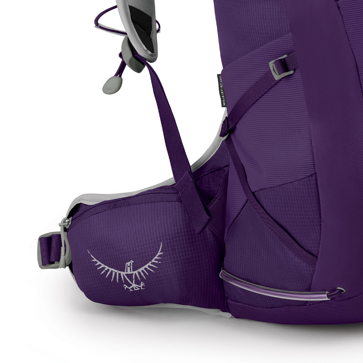 OSPREY - TEMPEST VIOLAC PURPLE 24 L