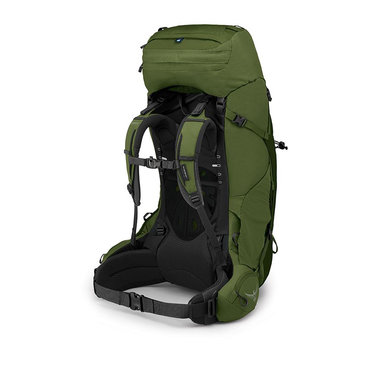 OSPREY - AETHER GARLIC MUSTARD GREEN 65 L