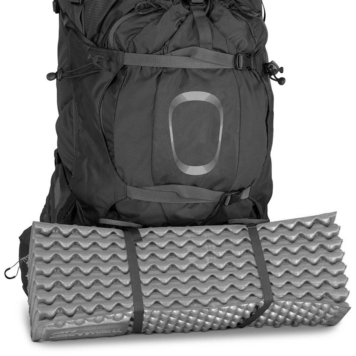 OSPREY - AETHER GARLIC MUSTARD GREEN 65 L