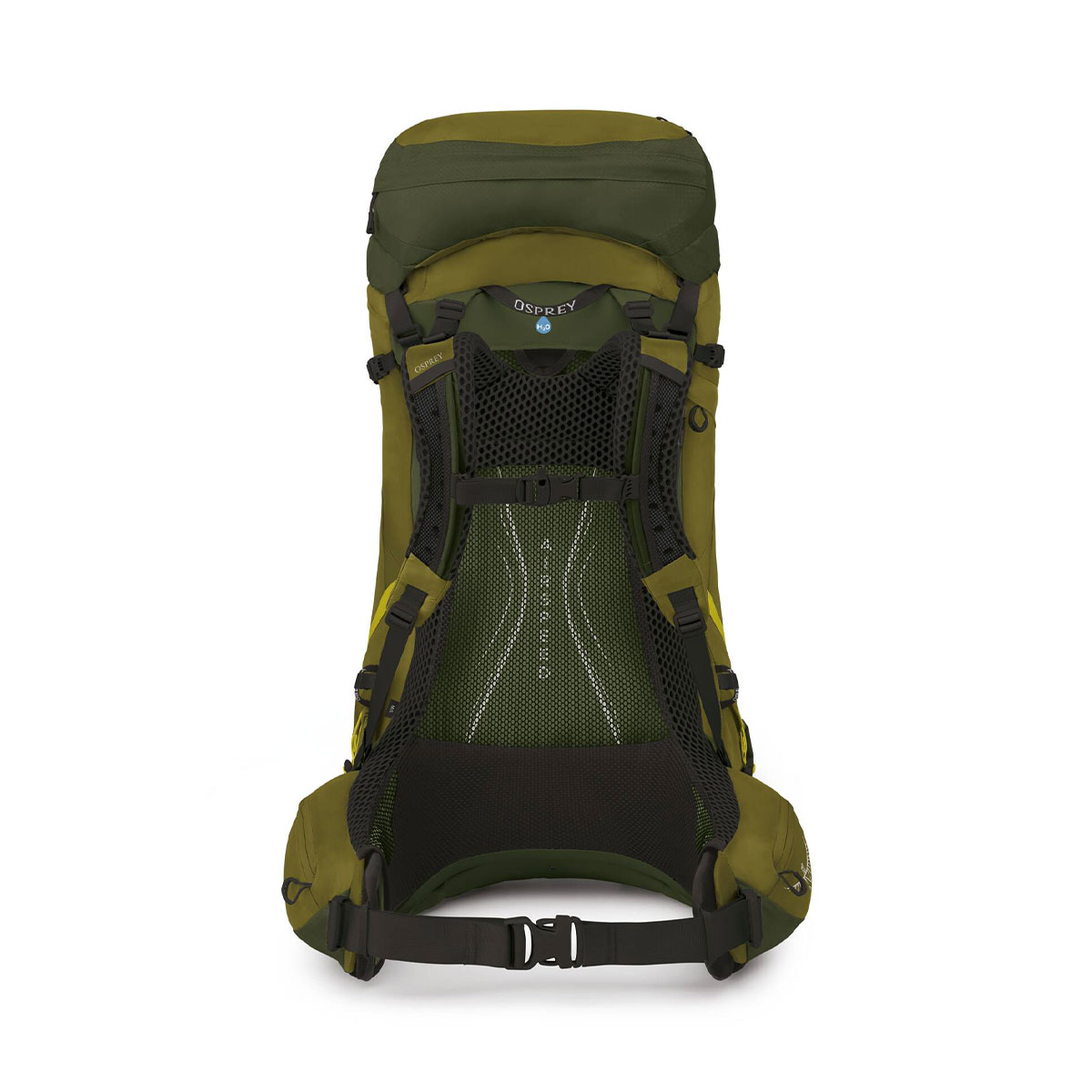 OSPREY - ATMOS AG LT SCENIC VALLEY/GREEN PEPPERCORN 50 L