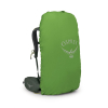 OSPREY - KESTREL BONSAI GREEN 38 L