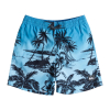 QUIKSILVER - EVERYDAY PARADISE SWIM SHORTS 14''