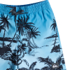 QUIKSILVER - EVERYDAY PARADISE SWIM SHORTS 14''