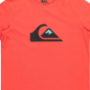 QUIKSILVER - COMP LOGO