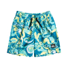 QUIKSILVER - NEXT GEN SWIM SHORTS 12''