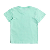 QUIKSILVER - BREAK THE FALL T-SHIRT