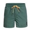 QUIKSILVER - EVERYDAY SWIM SHORTS 15''