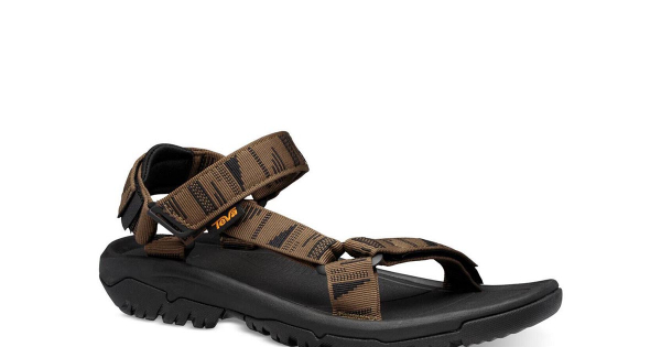 Teva 1019234 cheap