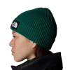 THE NORTH FACE - LOGO BOX CUFFED BEANIE