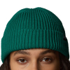 THE NORTH FACE - FISHERMAN BEANIE