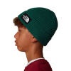 THE NORTH FACE - YOUTH TNF BOX LOGO CUFF BEANIE