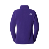 THE NORTH FACE - 100 GLACIER 1/4 ZIP FLEECE