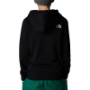 THE NORTH FACE - DREW PEAK HOODIE