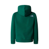 THE NORTH FACE - DREW PEAK HOODIE