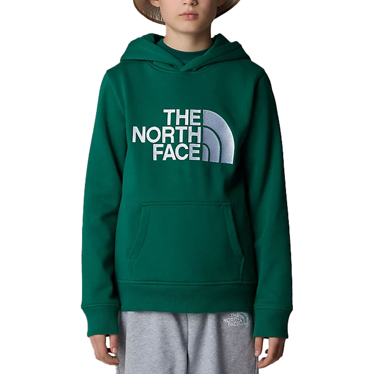 THE NORTH FACE - DREW PEAK HOODIE