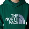 THE NORTH FACE - DREW PEAK HOODIE