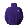 THE NORTH FACE - 100 GLACIER 1/2 ZIP FLEECE