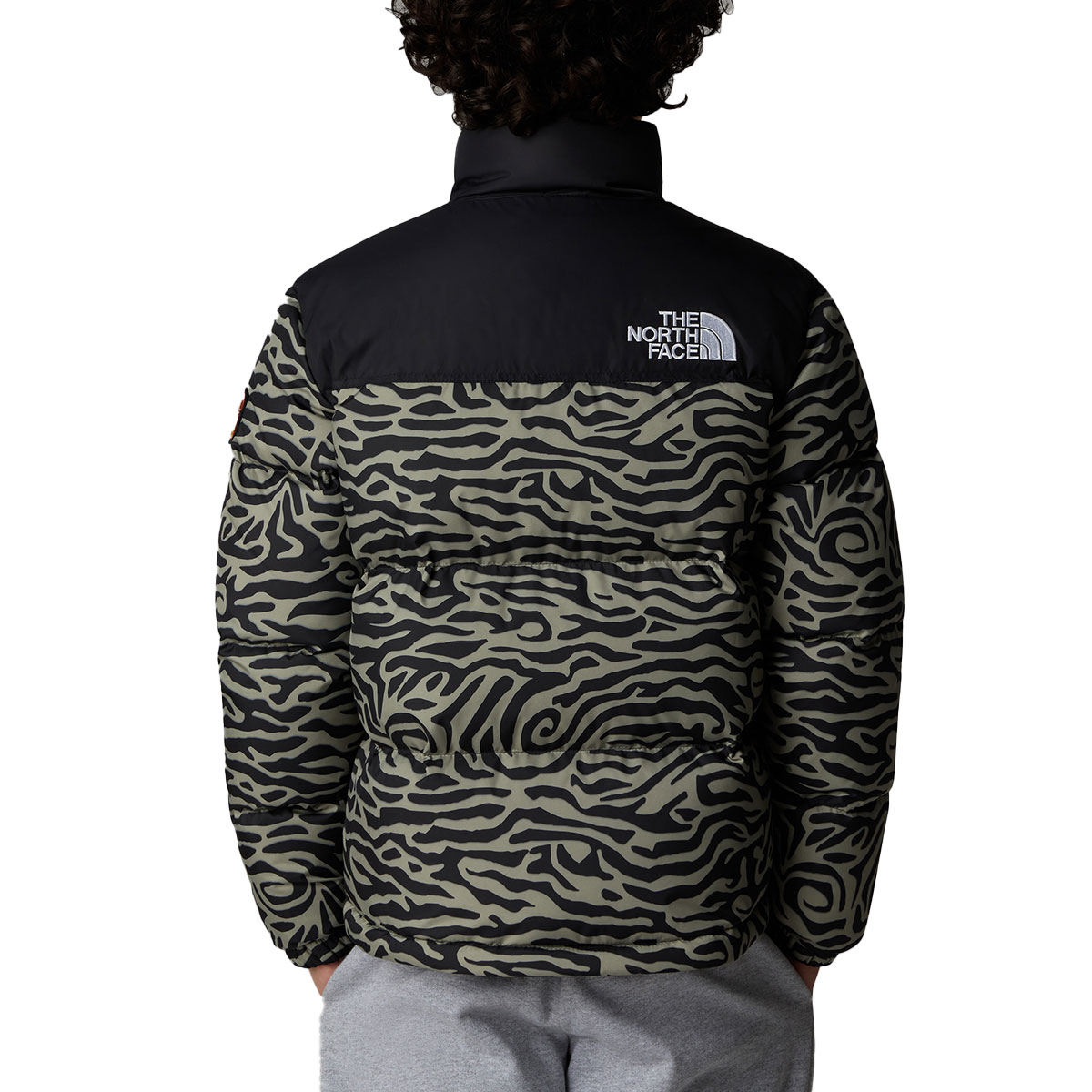 THE NORTH FACE - TEEN 1996 RETRO NUPTSE