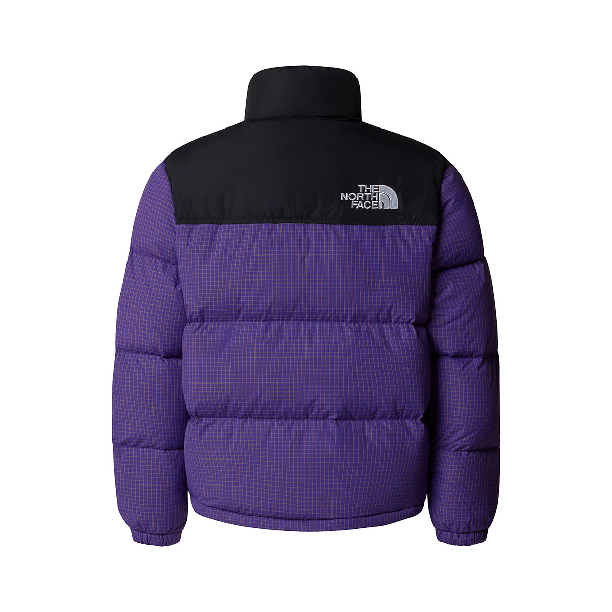 THE NORTH FACE - TEEN 1996 RETRO NUPTSE