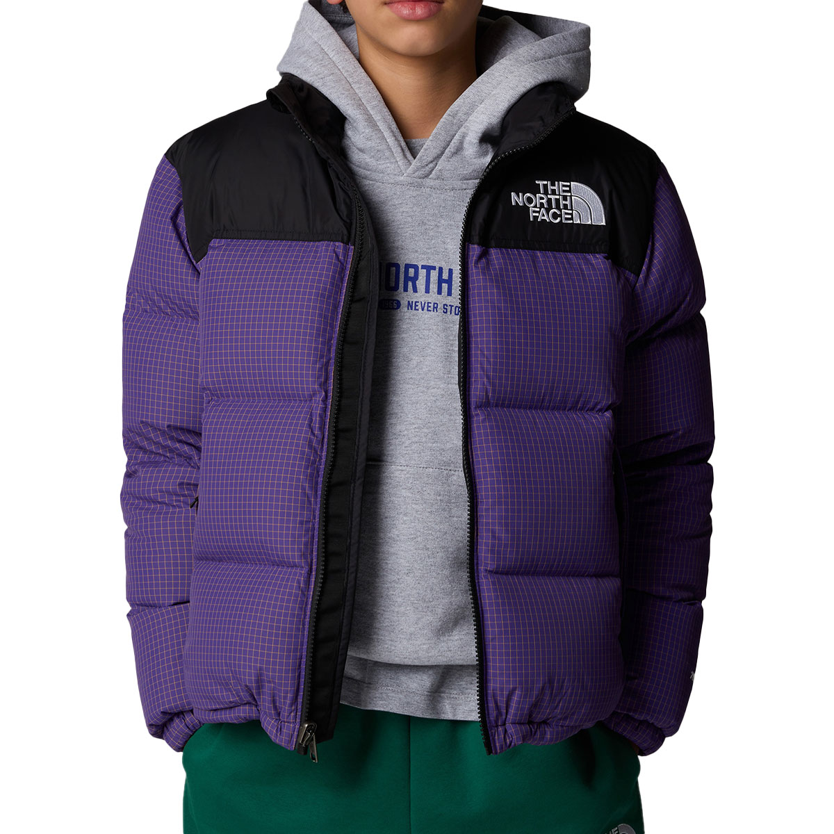 THE NORTH FACE - TEEN 1996 RETRO NUPTSE